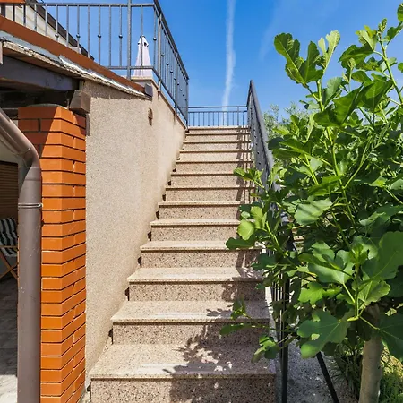 Olivo-1 By Interhome Appartamento