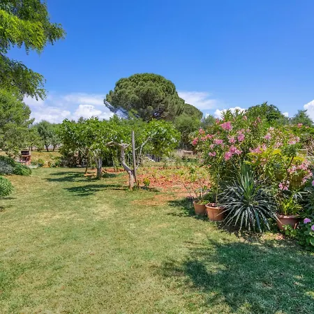 Apartmán Olivo-1 By Interhome