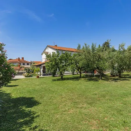 Apartmán Olivo-1 By Interhome