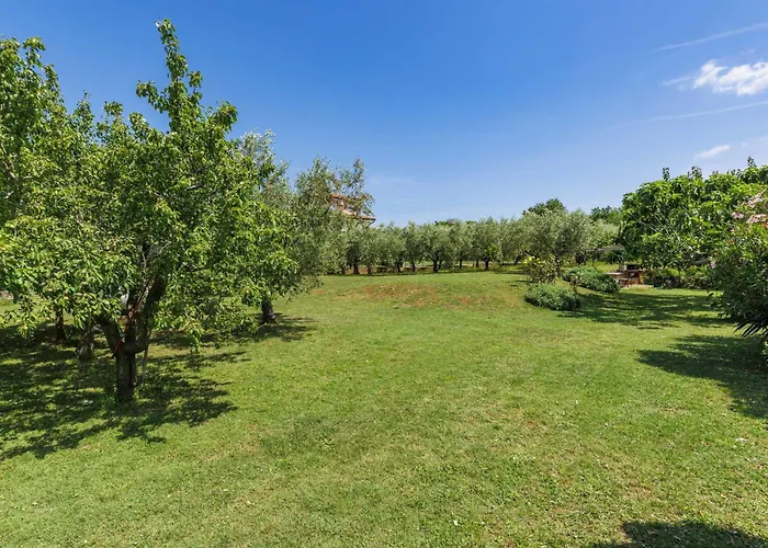 Olivo-1 By Interhome Karpinjan