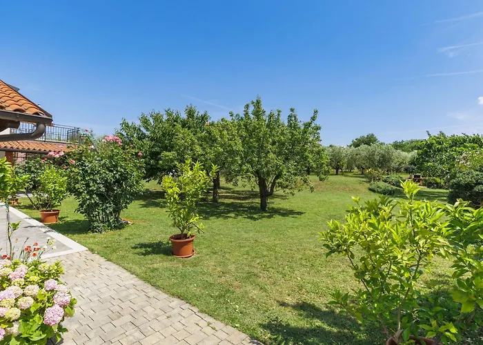 Olivo-1 By Interhome *