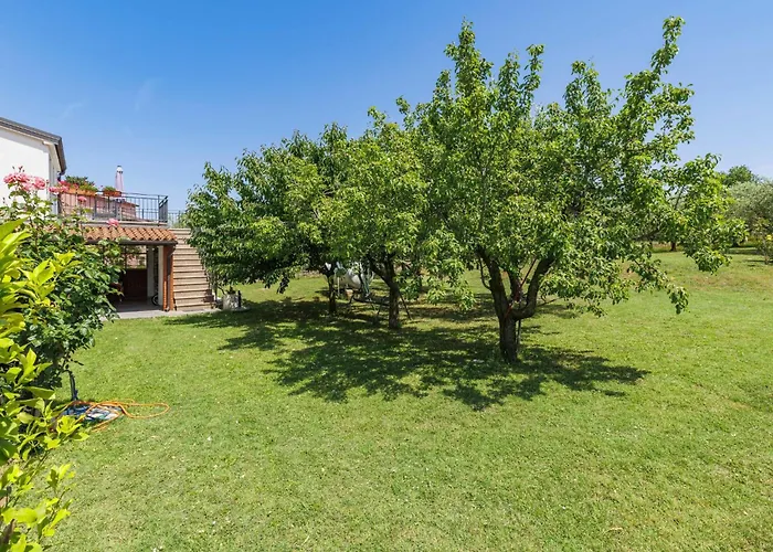 Olivo-1 By Interhome *